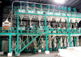 Padmavati Agro Industries — rice processing plant